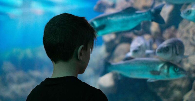 corfu-aquarium-entry-ticket-with-guided-tour