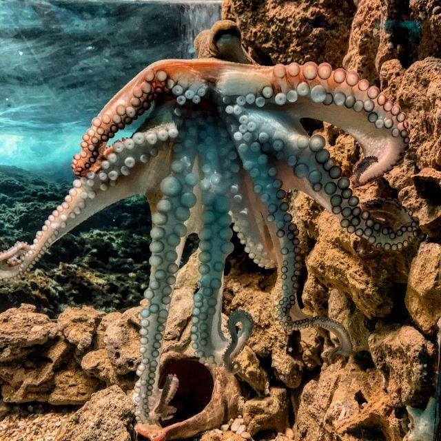 corfu-aquarium-entry-ticket-with-guided-tour