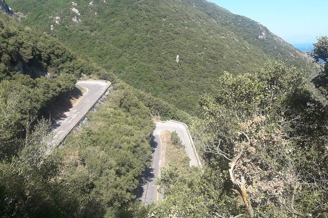 corfu-by-bike-countryside-forests-and-villages-2