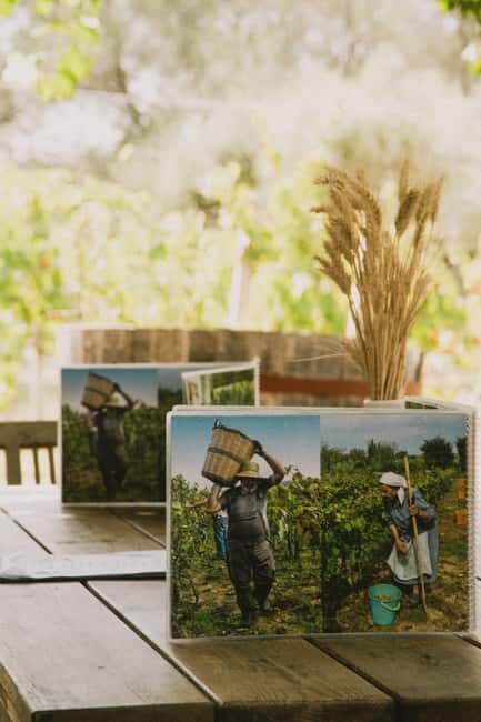 Corfu: E-Bike Tour with Wine Tasting and Winery Visit - Key Points