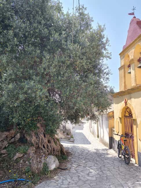 Corfu: E-Bike Tour with Wine Tasting and Winery Visit - Authentic Insights from Reviews