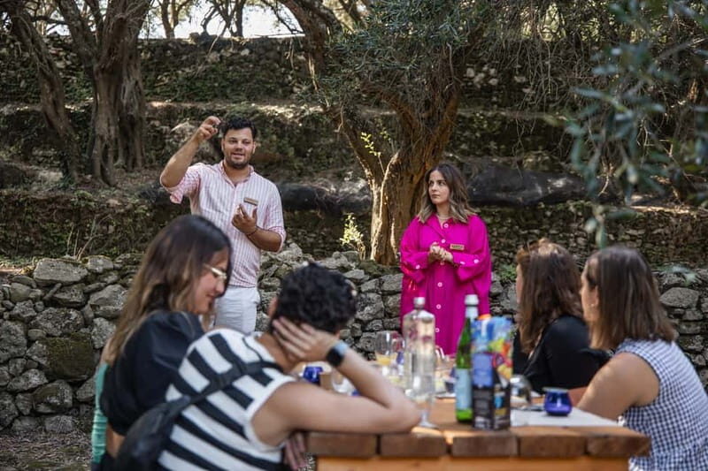 Corfu: Guided Olive Groves Tour with Olive Oil Tasting - An In-Depth Look at the Corfu Olive Groves Tour
