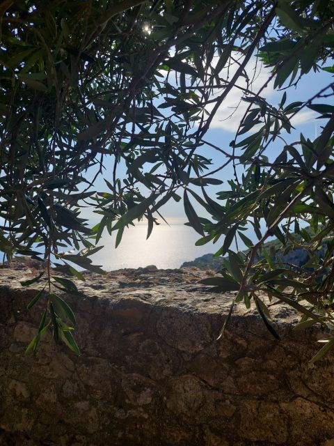 corfu-hiking-in-olive-grovesvillagesunsetwith-swim-stop
