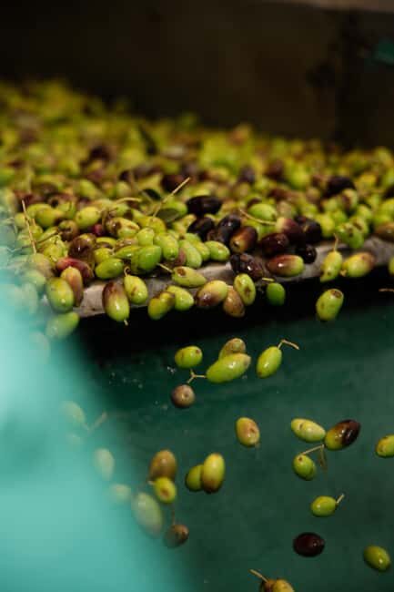 Corfu: Olive Oil and Kumquat Tasting Tour with Minivan - Exploring the Itinerary: What to Expect and Why It Matters