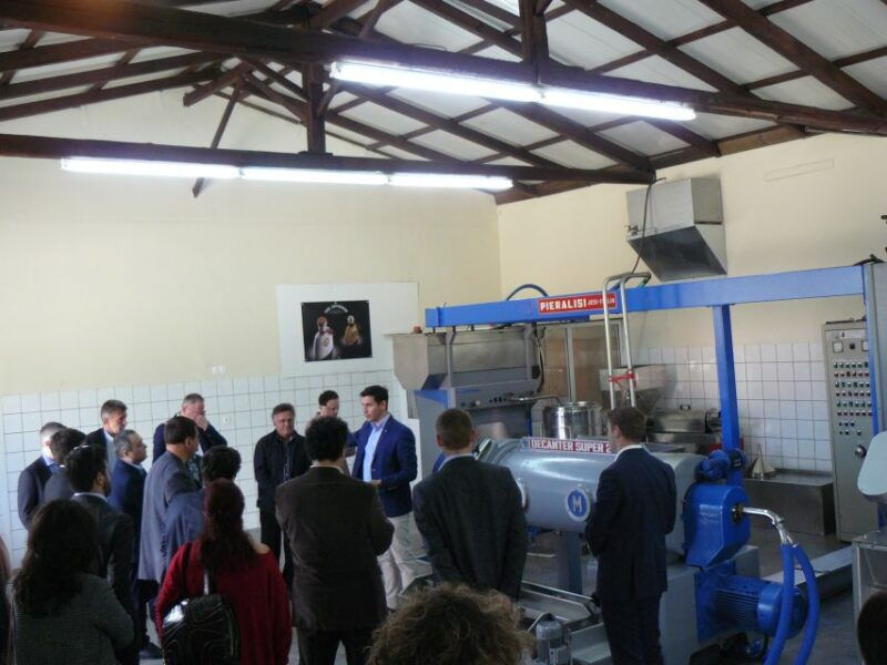 corfu-olive-oil-experience-the-governors-olive-mill