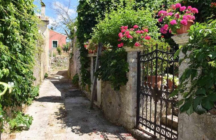 corfu-olive-oil-wine-tastings-traditional-villages-tour