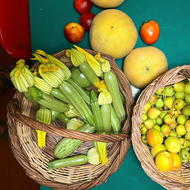 corfu-organic-olive-oil-farm-tour-with-transfer-and-tasting