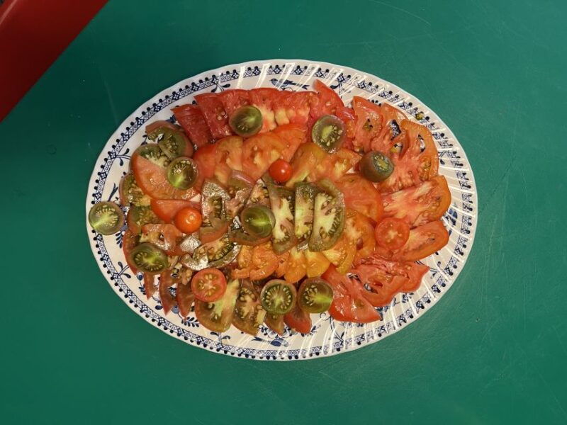 corfu-organic-olive-oil-farm-tour-with-transfer-and-tasting