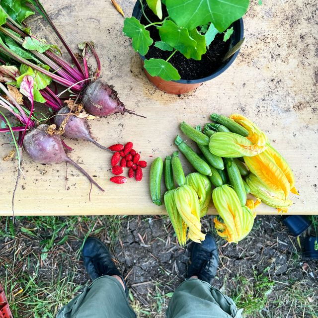 corfu-organic-olive-oil-farm-tour-with-transfer-and-tasting