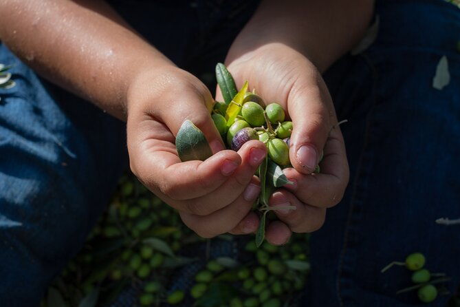 corfu-organic-olive-oil-tasting-at-family-farm