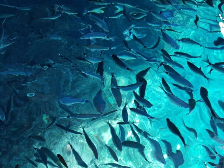 corfu-paleokastritsa-paradise-sunset-cruise