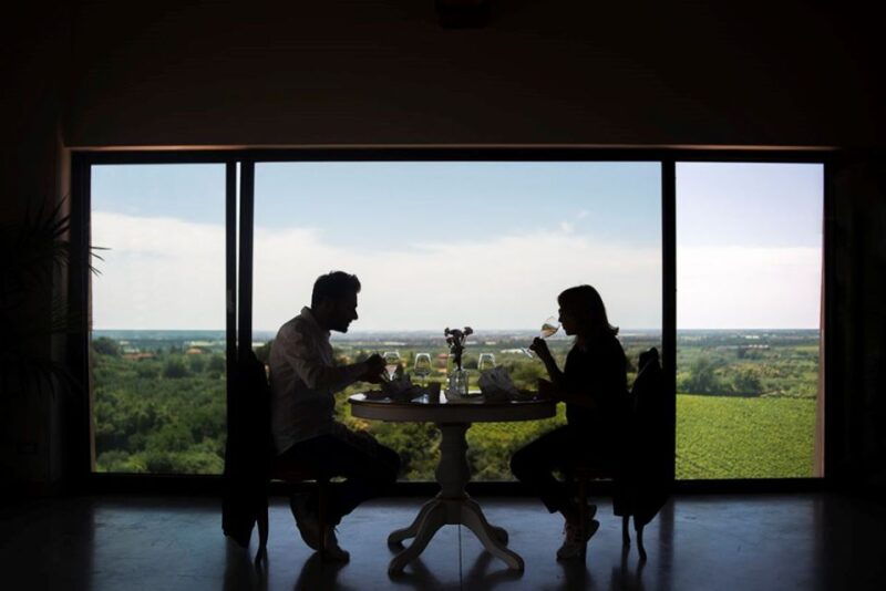 cori-guided-winery-tour-with-light-lunch-and-wine-tasting