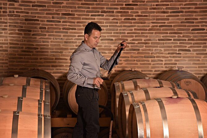 corinth-winery-tour-and-organic-fine-wine-tastings