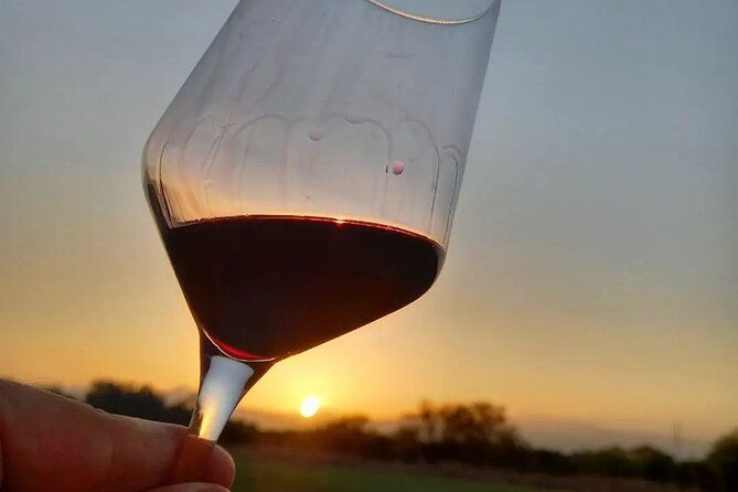 corinth-winery-tour-and-organic-fine-wine-tastings