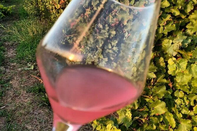 corinth-winery-tour-and-organic-fine-wine-tastings