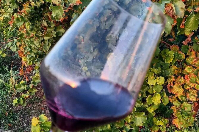 corinth-winery-tour-and-organic-fine-wine-tastings