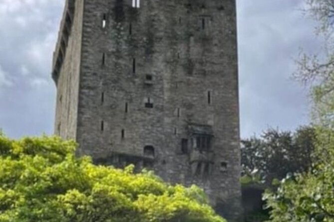 cork-city-to-blarney-castle-private-tour-in-modern-ac-minibus-4