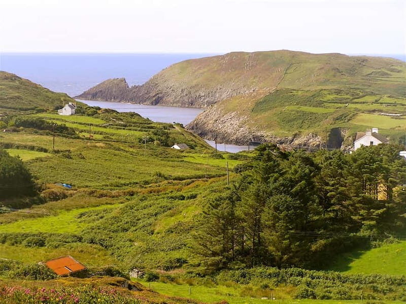 Cork: Fastnet Rock Lighthouse and Cape Clear Island Tour - Practical Tips for Booking and Preparing