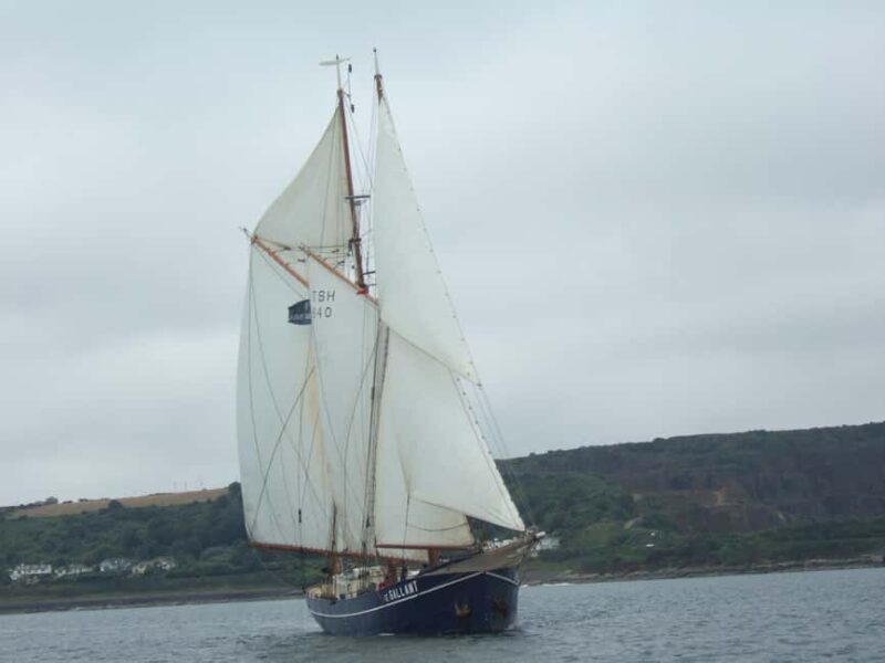 Cornwall: 2 hour Wildlife Watching RIB Tour Adventure - Practicalities & Comfort  