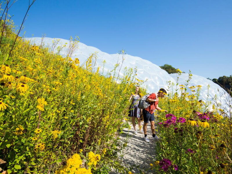 cornwall-eden-project-entry-ticket