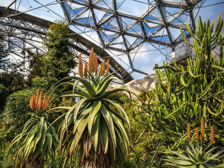 cornwall-eden-project-entry-ticket