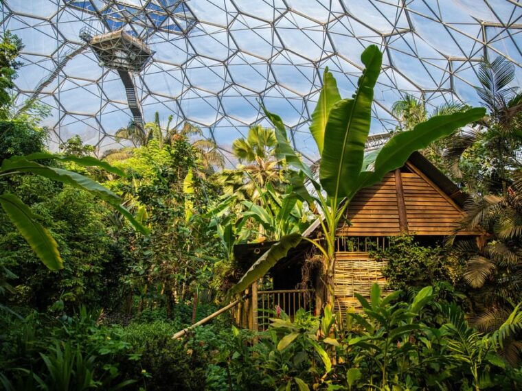 cornwall-eden-project-entry-ticket