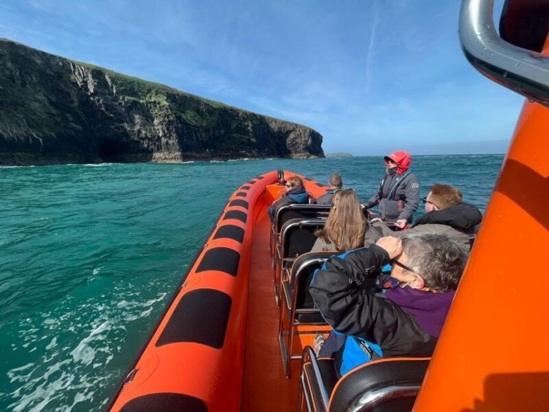 Cornwall: Guided Seal Safari by Boat - Key Points  