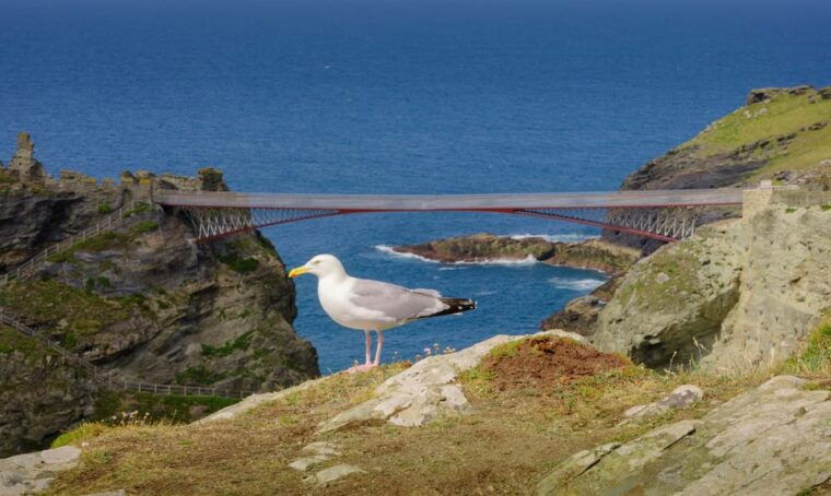 cornwall-tintagel-castle-entry-ticket