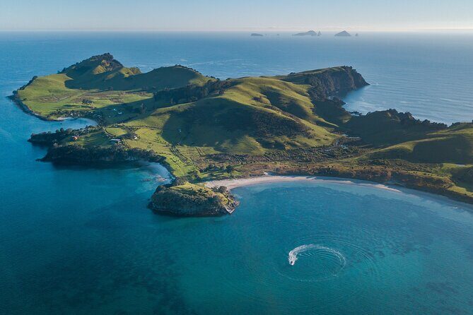 Coromandel Adventure and Wildlife Boat Tour to Aldermen Islands - Exploring the Itinerary: What You Can Expect
