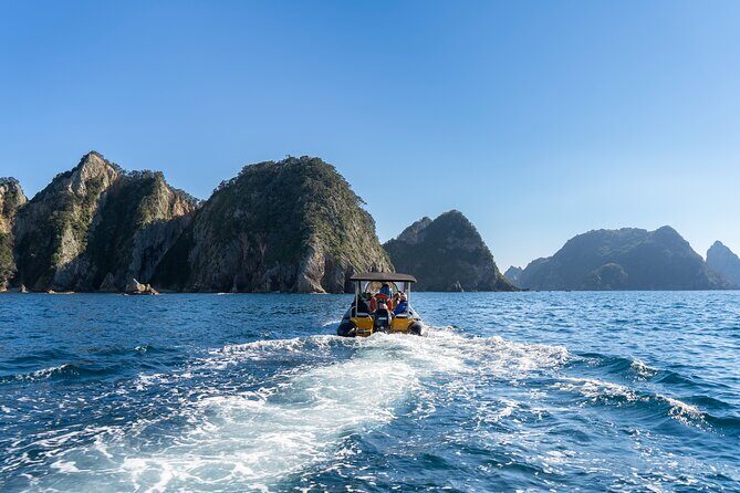 Coromandel Adventure and Wildlife Boat Tour to Aldermen Islands - Authentic Experiences as Described by Travelers
