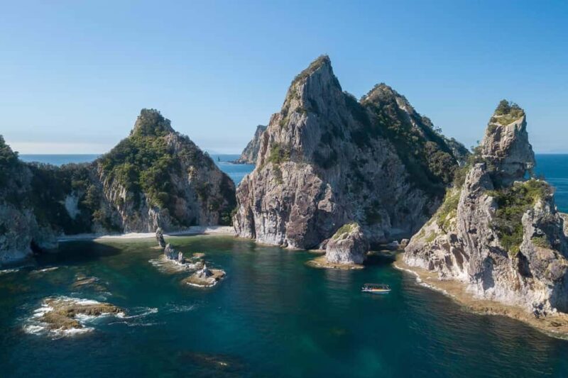Coromandel: Aldermen Islands Marine Reserve Wildlife Cruise - Key Points