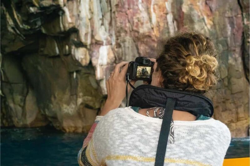 Coromandel: Aldermen Islands Marine Reserve Wildlife Cruise - FAQ