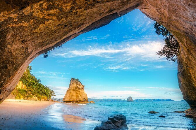 Coromandel Cathedral Cove and Hot Water Beach - Detailed Breakdown of the Itinerary