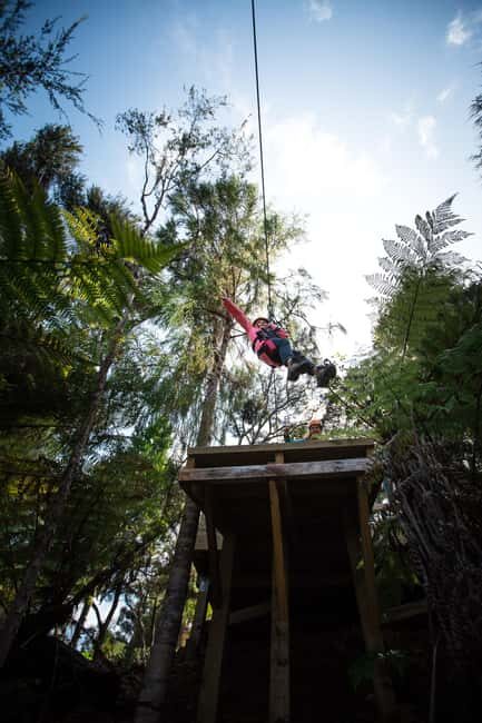 Coromandel: Guided Zipline Tour Experience - FAQ