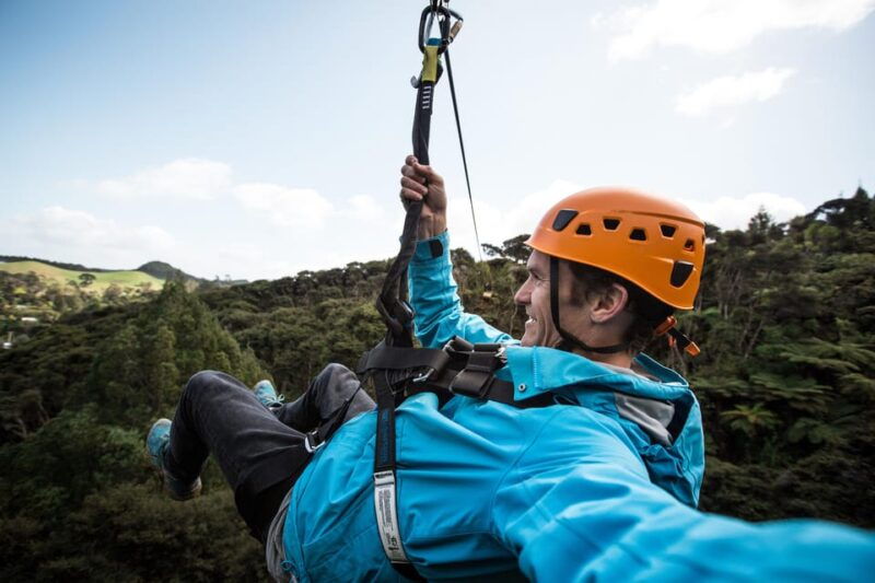 coromandel-guided-zipline-tour-experience