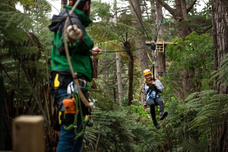 coromandel-guided-zipline-tour-experience