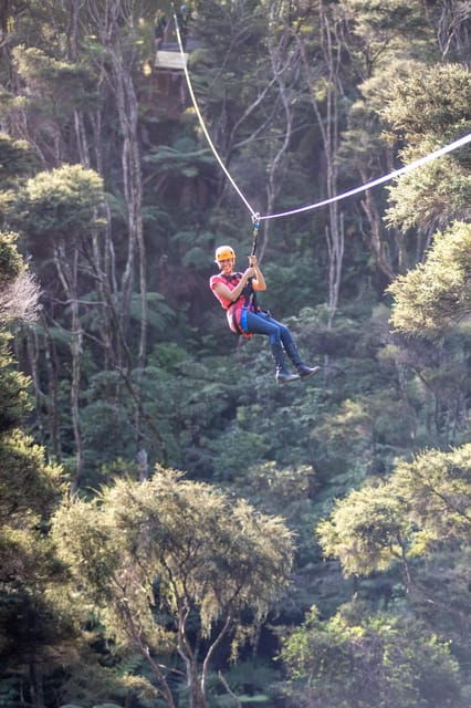 coromandel-guided-zipline-tour-experience