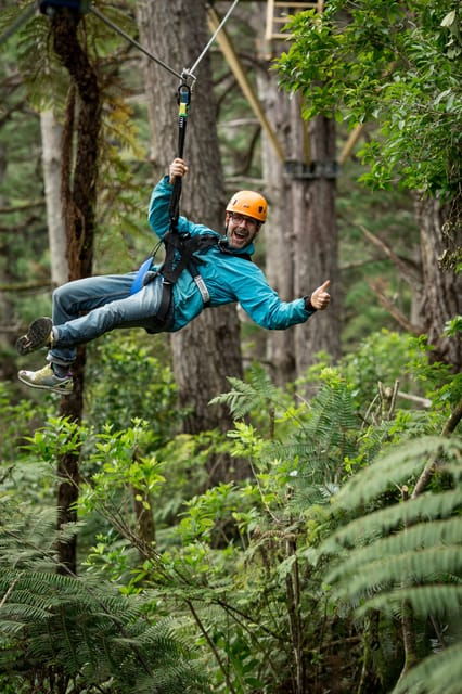 coromandel-guided-zipline-tour-experience