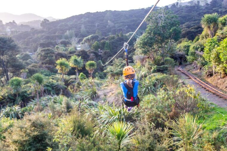 coromandel-guided-zipline-tour-experience