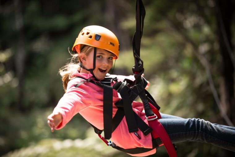coromandel-guided-zipline-tour-experience