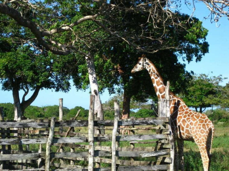 coron-calauit-safari-adventure