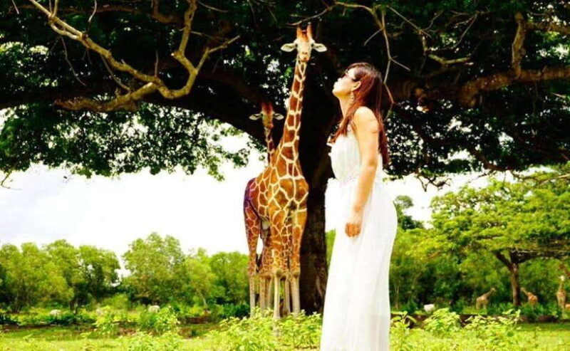 coron-calauit-safari-black-island-lunch-transfer-included