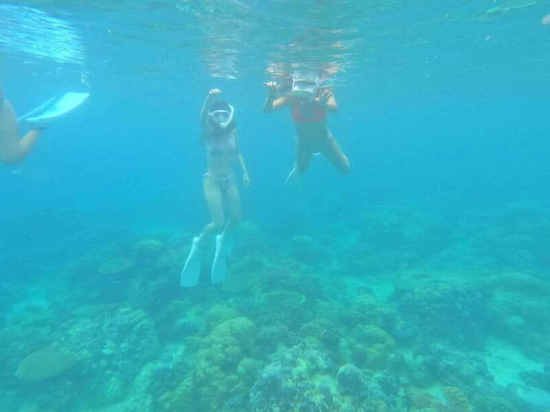 coron-dugong-watching-with-sea-turtle-and-coral-garden-tour