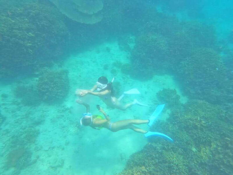 coron-dugong-watching-with-sea-turtle-and-coral-garden-tour