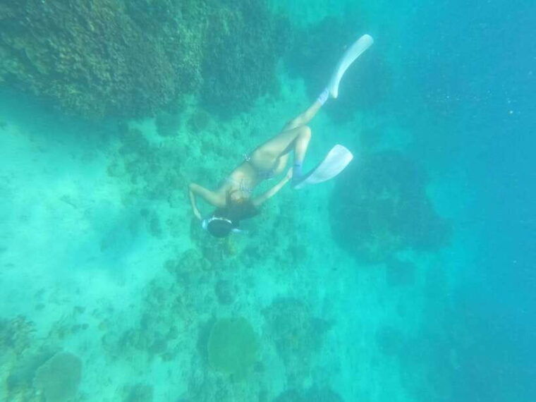 coron-dugong-watching-with-sea-turtle-and-coral-garden-tour