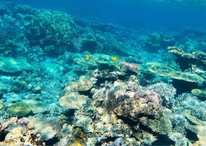 Coron: Island Tour B - Introduction: Why Tour B Might Be Your Best Bet in Coron