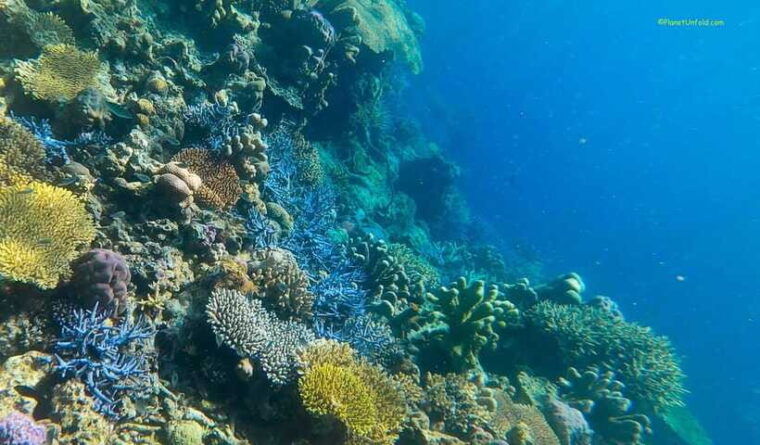 coron-island-ultimate-tour-private-tour