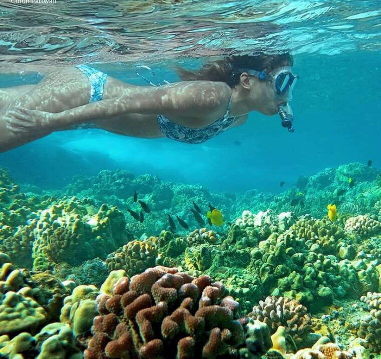 coron-private-tour-b-barracuda-lake-and-smith-beach