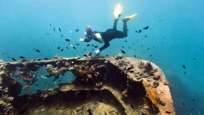 coron-reef-and-wrecks-tour-private-tour