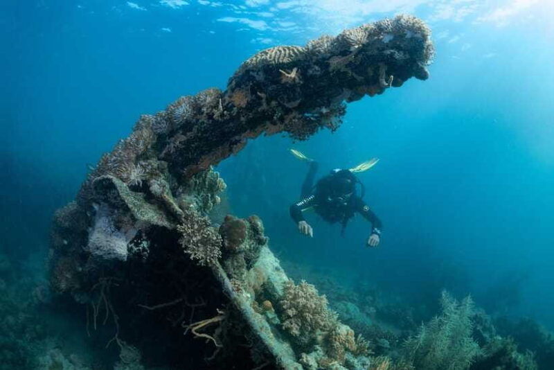 coron-reef-and-wrecks-tour-private-tour